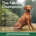 thumbnail image 2 of Nature's Protection Superior Care Dry Dog Food, Red Coat, Small All Life Stages, Grain-Free Lamb, 22lb, 2 of 8
