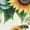 A-Yellow384, variant on Women's Sunflower Bee All Over Print Full Zip Hooded Jacket Dual Side Pocket Loose Fit Spring Outerwear Coat