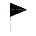 thumbnail image 1 of Chestry Kowledge Sodium Bicarbonate Toothpick Triangle Cupcake Toppers Flag, 1 of 3
