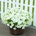 thumbnail image 3 of 8 Bundles Artificial Flowers for Outdoors, UV Resistant Faux Silk Morning Glory with Eucalyptus Plants for Spring Home Garden Porch Patio Balcony Decoration White, 3 of 8