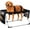 B1, variant on Bath for Dogs, Foldable 8-Hole Mesh Grooming Hammock with Steel Stand, Breathable Quick-Dry Sling, Freestanding Grooming Station for Small Medium Pets Bathing Nail Trimming