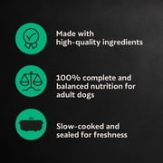 Cesar Loaf In Sauce Poultry Flavors Adult Wet Dog Food Variety Pack, 3.5 Oz Trays, 24 Ct.