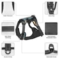 thumbnail image 3 of Vsdgher Cloud Border Collie Pattern Dog Harness,No Pull Pet Harness with Soft Padded Handle,Adjustable Reflective Vest with 2 Buckles,4 Slide Buckles,S-XL Medium, 3 of 4