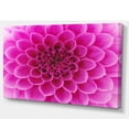 thumbnail image 2 of Large Pink Flower and Petals - Floral Canvas Art Print, 2 of 3