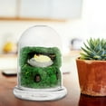 thumbnail image 2 of Masteelf Terrarium Display Glass Air Planter Terrarium Container Glass Display Cloche Dome Tabletop Planter Display Box, 2 of 11
