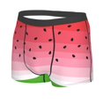 thumbnail image 2 of Daiia Watermelon Men's Underwear Boxer Briefs, Cotton Stretch Moisture-Wicking Underwear-Medium, 2 of 9
