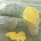 thumbnail image 5 of Insectos Malla para pájaros Malla Malla Cubiertas para plantas Malla para pájaros Proteger Verduras Árboles frutales Flores Muyoka Hogar, 5 of 6