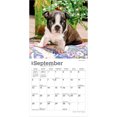 thumbnail image 2 of Boston Terrier Puppies | 2027 7x14" (Hanging) Mini Wall Calendar, 2 of 4