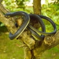 thumbnail image 2 of 80CM Golf Snake Prank Toy Realistic Rubber Snake Model Simulated Snake Teasing Friends Tricky Props Kids Adults Halloween Party Gag Gift, 2 of 7