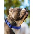 thumbnail image 2 of Reflective And Breathable Nylon Dog Collar, 2 of 4