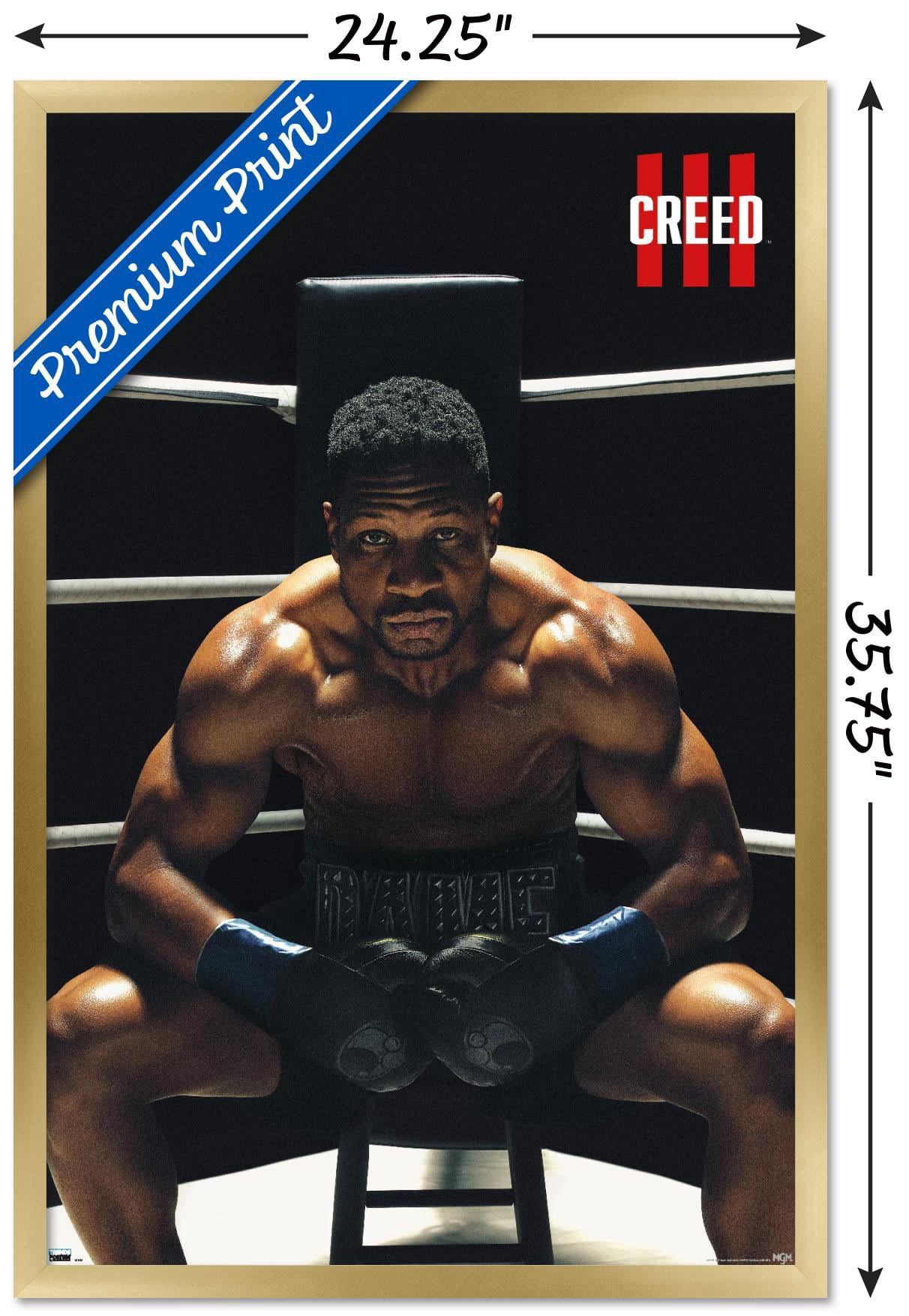 Creed III - Damian One Sheet Wall Poster, 22.375" x 34" Framed