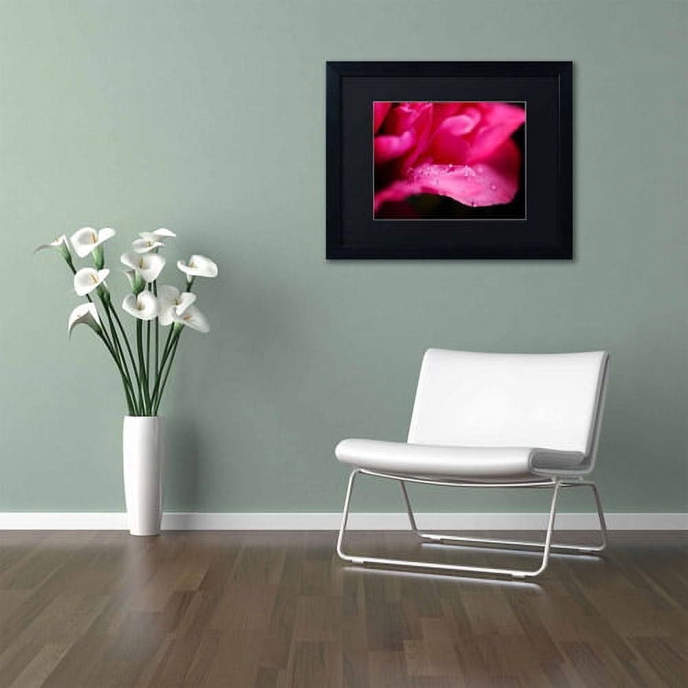 Trademark Fine Art "Peony Drops" Canvas Art by Philippe Sainte-Laudy, Black Matte, Black Frame