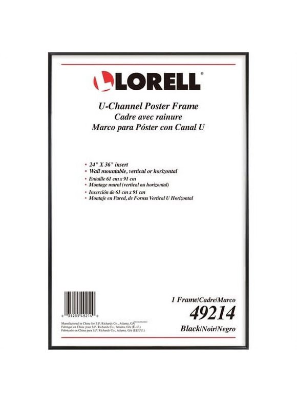 Poster Frames in Picture Frames