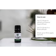 Essence Eucalyptus Essential Oil, 5 mL – Aromatherapy Oil for Diffuser and Home Use