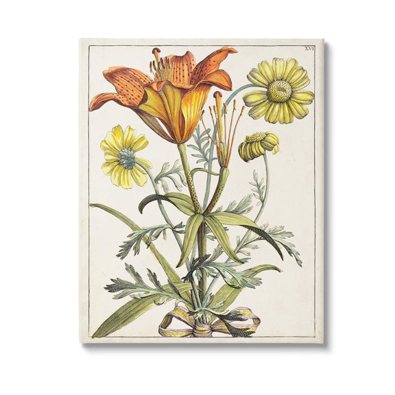Stupell Industries Flowers Latin Study Botanical & Floral Painting Gallery Wrapped Canvas Art Print Wall Art, 16 x 20