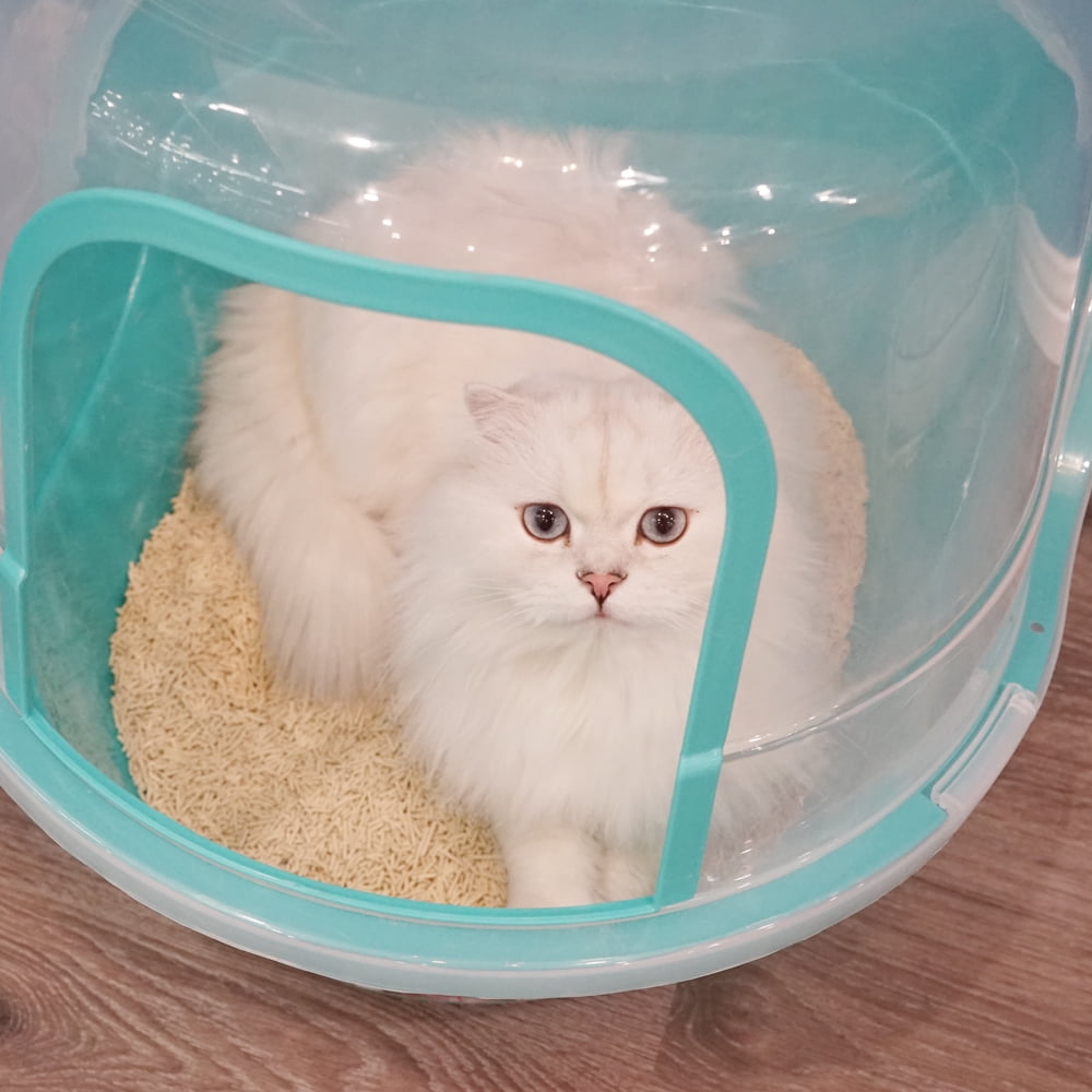 Petfamily Extra Large Cat Litter Box, Color Teal, Jumbo Hooded, 24.8 x 20 x 16.5 in