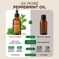 thumbnail image 4 of Gya Labs Peppermint Essential Oil with Aromatherapy stone, 4 of 8