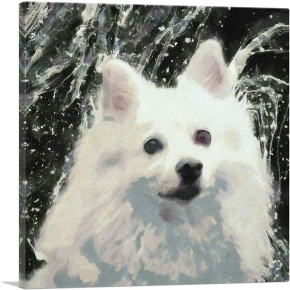 ARTCANVAS American Eskimo Dog Breed Black White Canvas Art Print - Size: 18" x 18" (0.75" Deep)