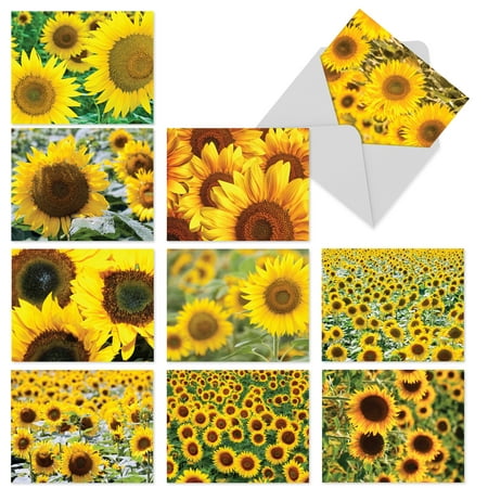 M6042 SUNNY SIDE UP: 10 Assorted Blank Note Cards with Envelopes, The Best Card