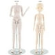 thumbnail image 4 of Soporte Exhibición de Muñeca / / / Night ita Dolls / de 1/3 y 1/4 , solo para 60cm, de Plastico Blanco Hugo  Soporte para soporte de exhibición de muñecas, 4 of 7