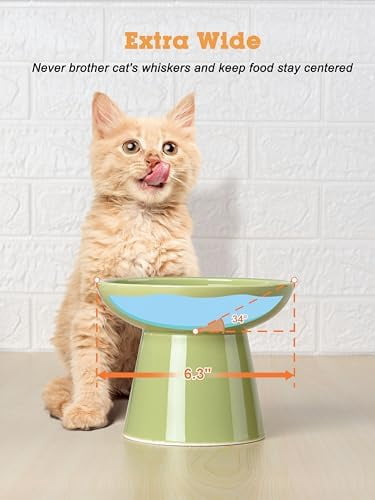 Elevated Green Cat Bowls Set - Wide Raised Ceramic Feeder, Anti-Vomit Whisker-Free Bowl for Kittens to Adult Cats