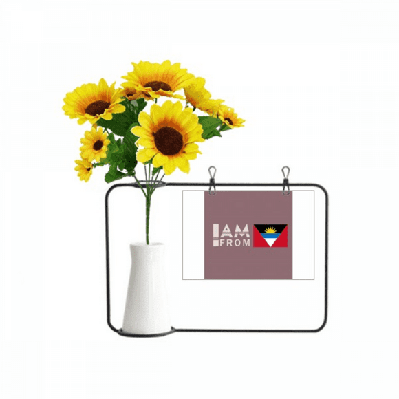 I Am From Antigua And Barbuda Artificial Sunflower Vases Bottle Blessing Card