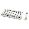 thumbnail image 2 of 10 Pcs 250V 30A 6x30mm Cylindrical Ceramic Tube Fuses Link, 2 of 2