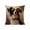 A, variant on Throw Pillows for Couch, Cute Animals Print Pillow Set Bedroom Living Room Sofa Cushion 45x45 Cm For Sofa Living Room Decoration