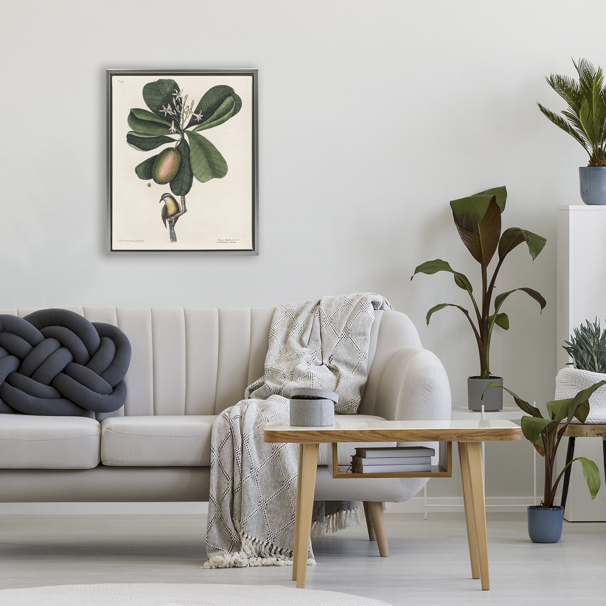 Stupell Industries Catesby Flora & Fauna Gray Framed Floater Canvas Wall Art, design by Print Collection