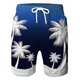 thumbnail image 1 of Pantalones cortos de verano para hombre, Shorts transpirables de gran tamaño, secado rápido, informales, hawaianos, con cordón, 2023 Fivean unisex, 1 of 2
