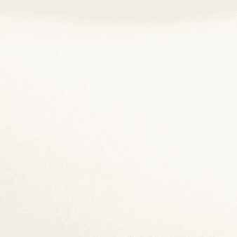 White Teak