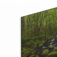 thumbnail image 2 of Luxe Metal Art 'Where The Green Grows' by Darren White, Metal Wall Art, 16"x12", 2 of 8
