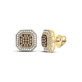 thumbnail image 1 of 10kt Yellow Gold Womens Round Brown Diamond Octagon Cluster Earrings 1/2 Cttw, 1 of 1