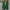Green, variant on Clearance Sales Online Deals Ofreoo Women's Fashion Solid Button Suit Coat Long Sleeve Hatless Casual Coat/Jacket Tops Fleece Jacket Women