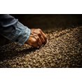 thumbnail image 2 of Caf&eacute; Capeltic Org&aacute;nico Gourment Molido 1KG - Cultivado, cosechado y tostado en Chiapas, M&eacute;xico, 2 of 6