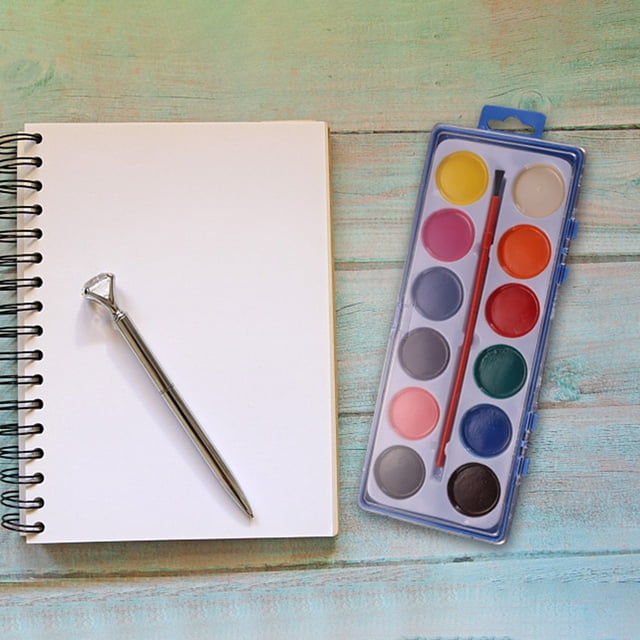BotaniNest Art Paint 12 Color Large Square Art Painting Set