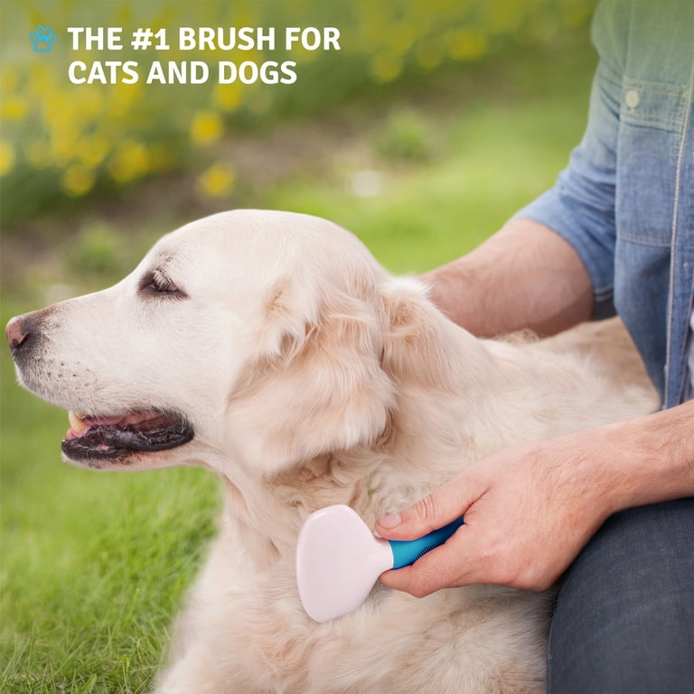 Poodle Pet Slicker Brush for Dogs & Cats, Blue photo 8