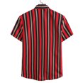 thumbnail image 1 of Chemise homme à manches courtes à rayures imprimé revers chemise décontractée à fleurs taille L ShuxiuWang 8390613698162, 1 of 1