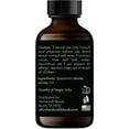 Handcraft Blends Spearmint Essential Oil 100 Pure and Natural