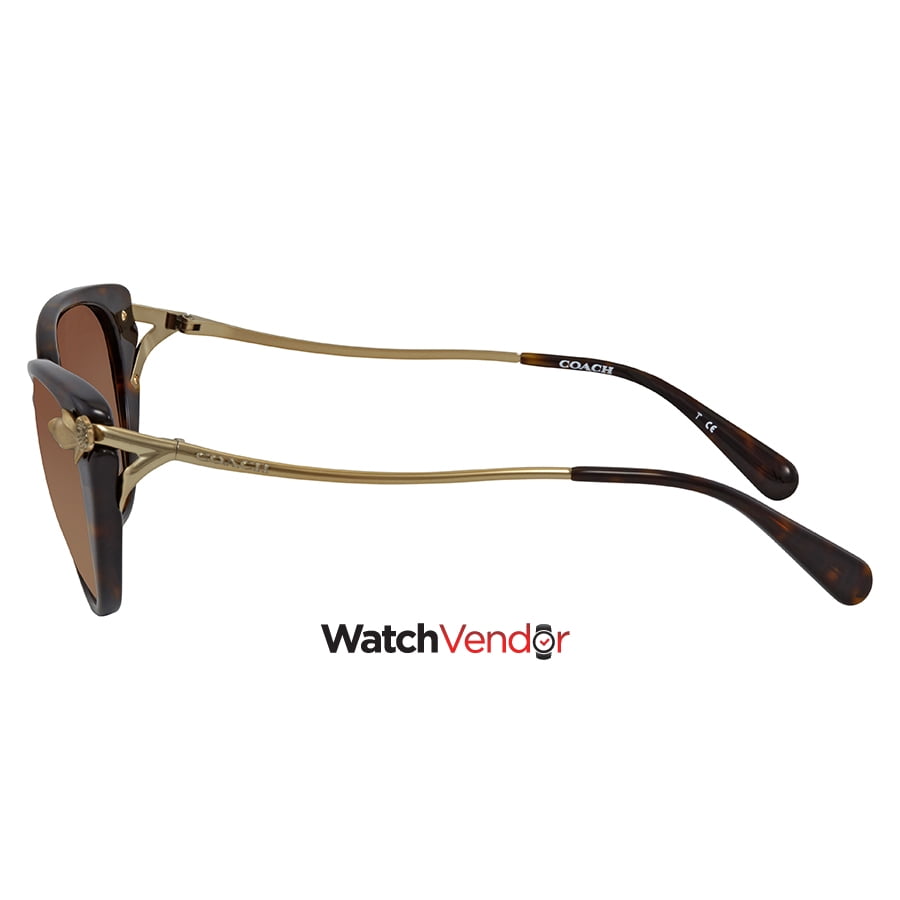 Coach Lunettes de Soleil pour Femme Marron Dégradé Chat Eye