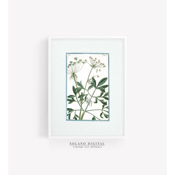 Floral Art Print Nancy Meyers Inspired Grandmillenial Botanical Print For Chic Home Decor Mat Green Wall Art, Modern Wall Decor, 8x12 UNFRAMED