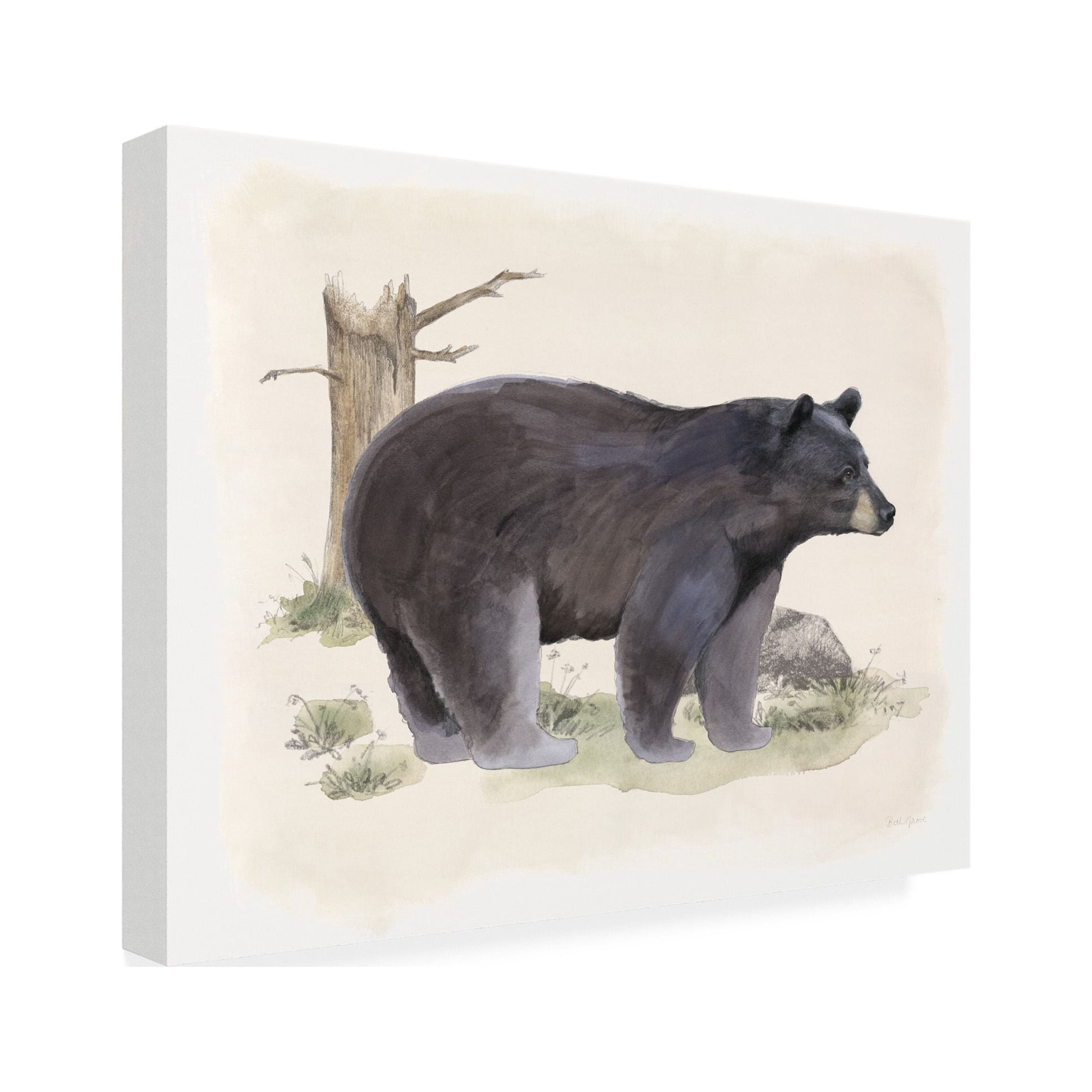 Beth Grove 'Wilderness Collection Bear' Canvas Art