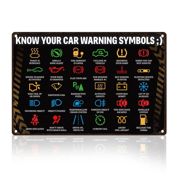 Funny Sarcastic Tin Sign Retro Metal Wall Decor 8" x 12" Vintage Know Your Car Warning Lights Wall Art Poster