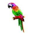 thumbnail image 3 of Colorful Artificial Parrots Figurines Sculpture Animal Photo Props Hanging Miniature DIY Model For Yard Decoration style B, 3 of 8