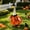19 Orange Witch Dress with Hat, variant on AuroraX Pumpkin 19 inch Porch Goose Halloween Outfits , 23" Porch Goose Clothes Sets 17 inch Autumn Halloween Decorations Outdoor Plastic Porch Goose Accessories