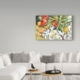 thumbnail image 3 of Trademark Fine Art 'Slice of Life' Canvas Art by Annelein Beukenkamp, 3 of 3