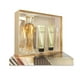 thumbnail image 3 of Set Gold Rush 4 Pzs, 3 of 3