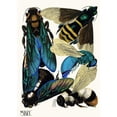 thumbnail image 3 of Emile-Allain Séguy 11x14 Black Modern Framed Museum Art Print Titled - Insectes Pl.16 (1929), 3 of 5