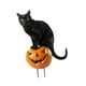 thumbnail image 4 of Estaca de jardín, decoración de calabaza, letrero de metal con forma de animal, inserto de suelo, hierro duradero para Gato, 4 of 9