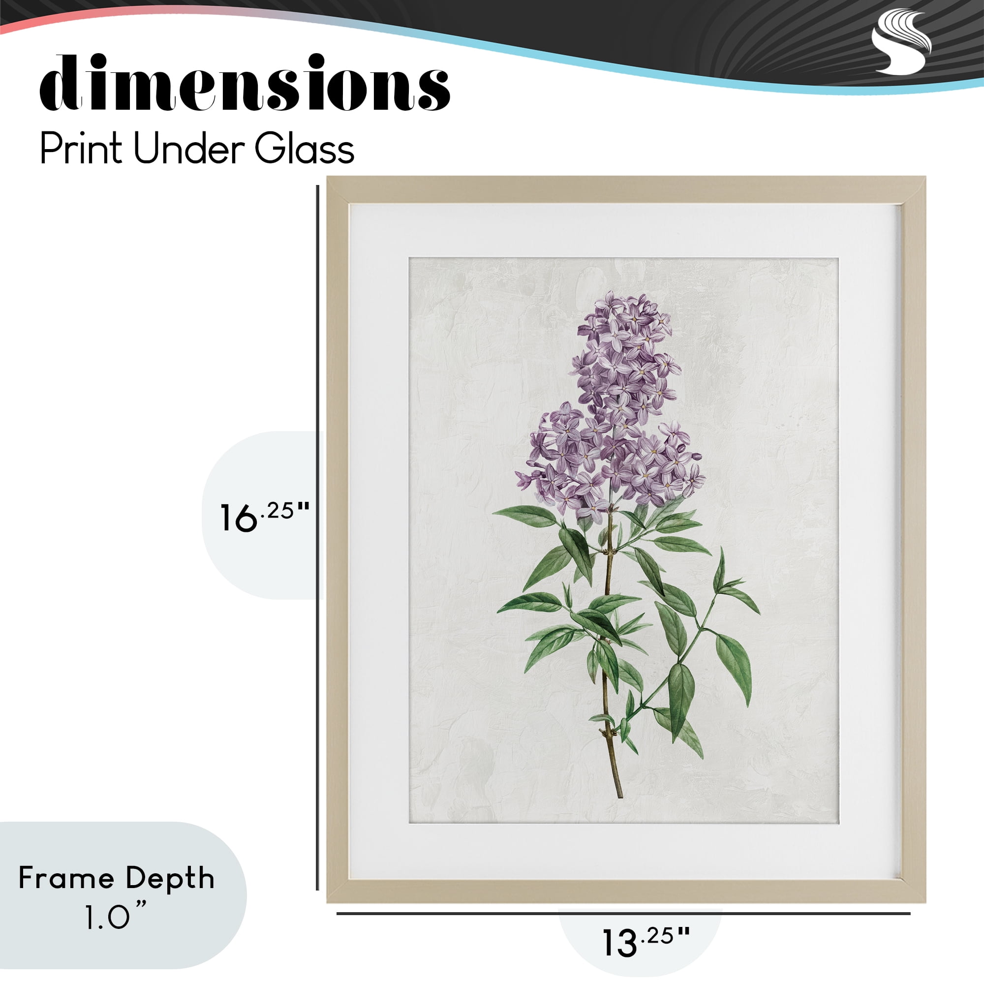 Stupell Industries Lilac Blossoms Blooms Birch Framed Print Under Glass, design by Kim Allen